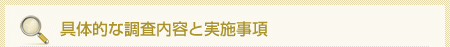 具体的な調査内容と実施事項